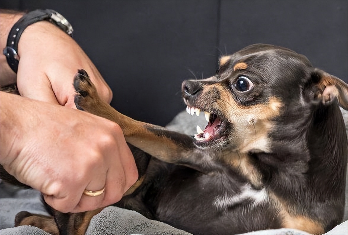 A man died of a rabies attack. He had been vaccinated for three times ...