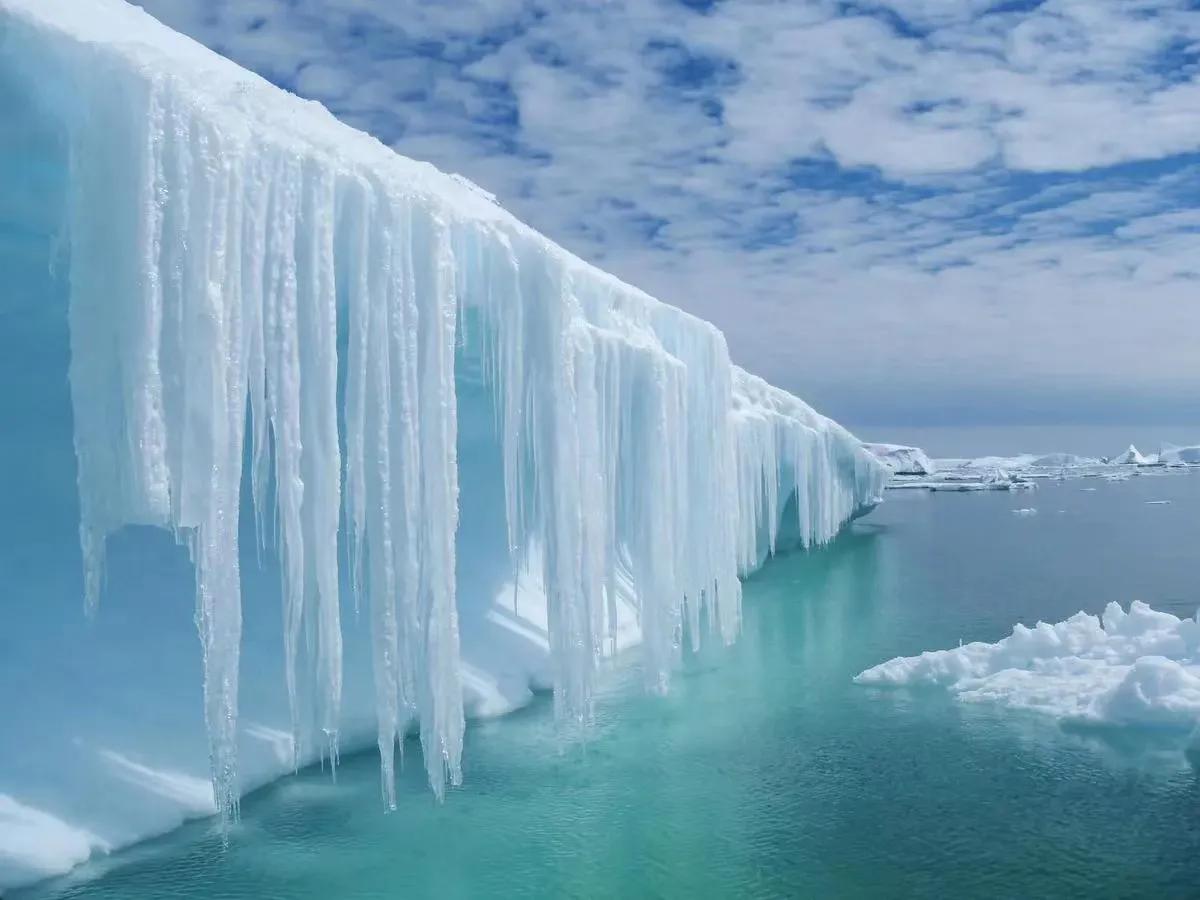 Weird Cold The unbelievably strange fact about popular science