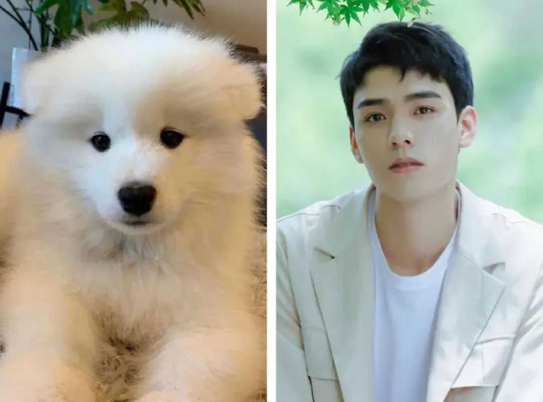 Ah, so what Wang Hedi, Wu Lei, Ding Yuxi and Song Weilong have in ...