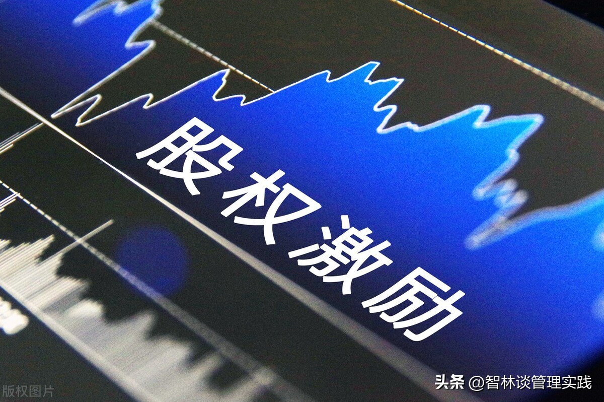 Equity incentives and their types iNEWS