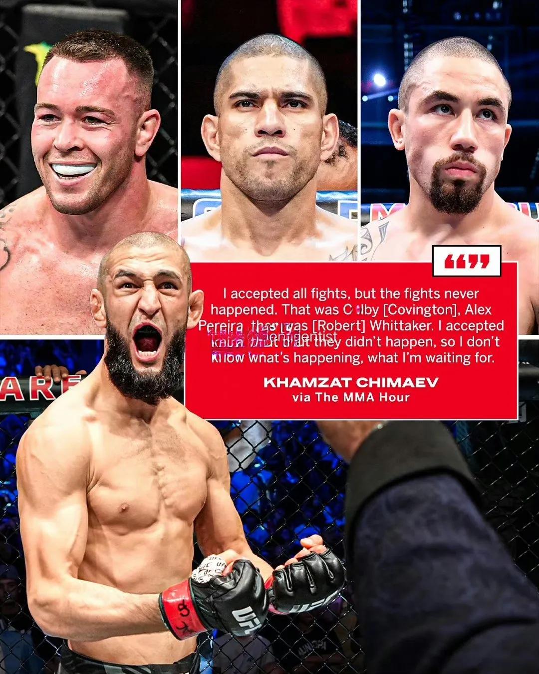 Shafkat Rind UFC Chimayev VS Shafkat! Can the Great War be achieved? - iNEWS