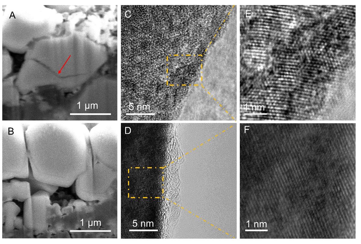 An in situ formed conductive network enhances the cycle and