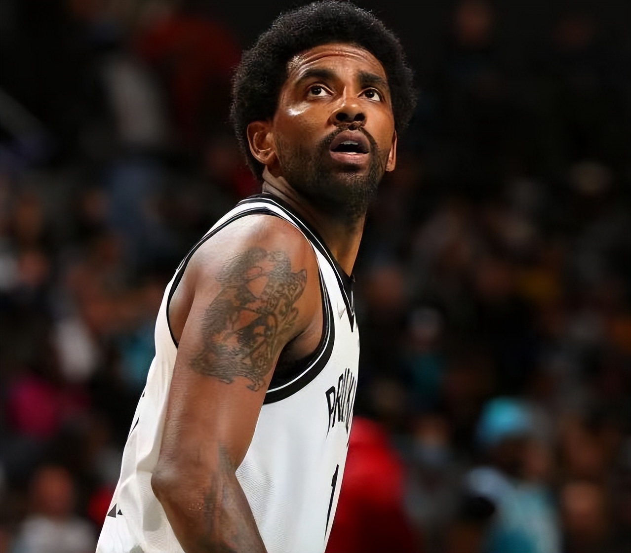 The Nets lose the Green Army again at home, and the Nets, which are 03