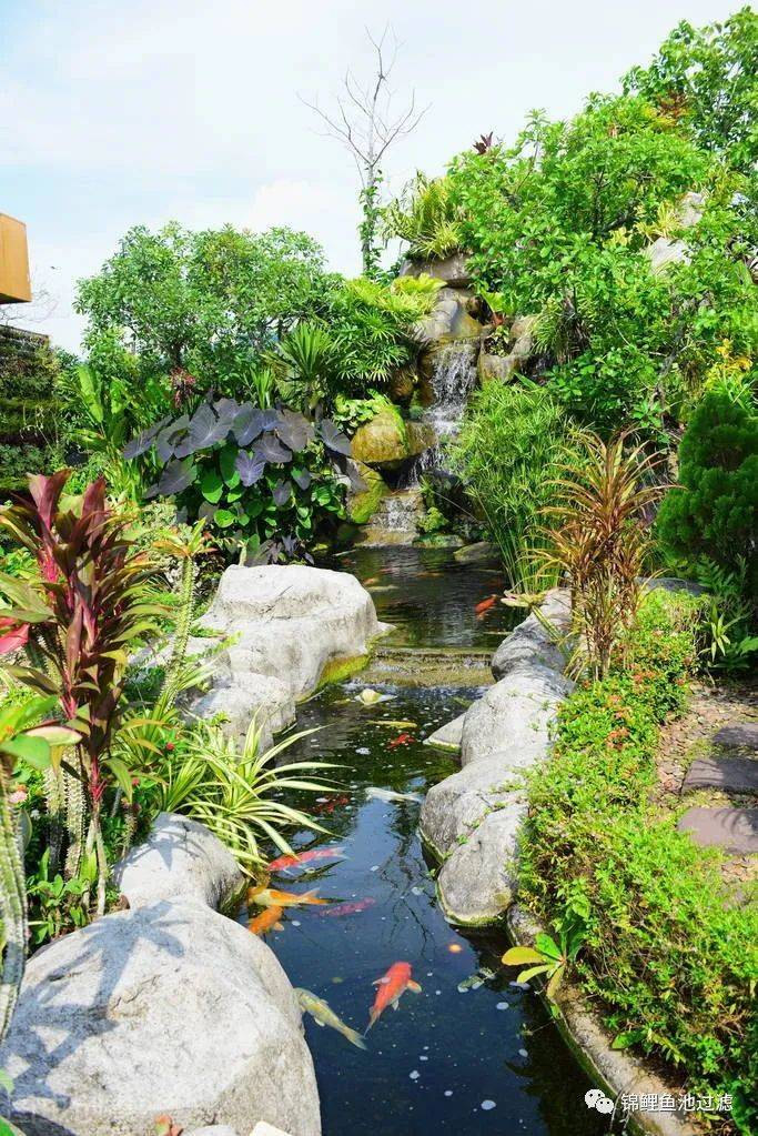 Common garden landscape water system design forms iNEWS