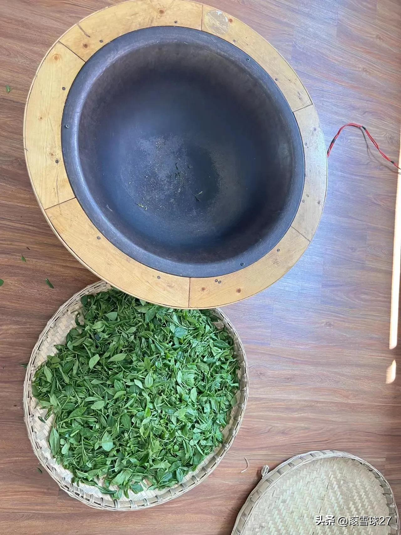 採茶、炒茶、品茶、聽講茶故事 - 資訊咖