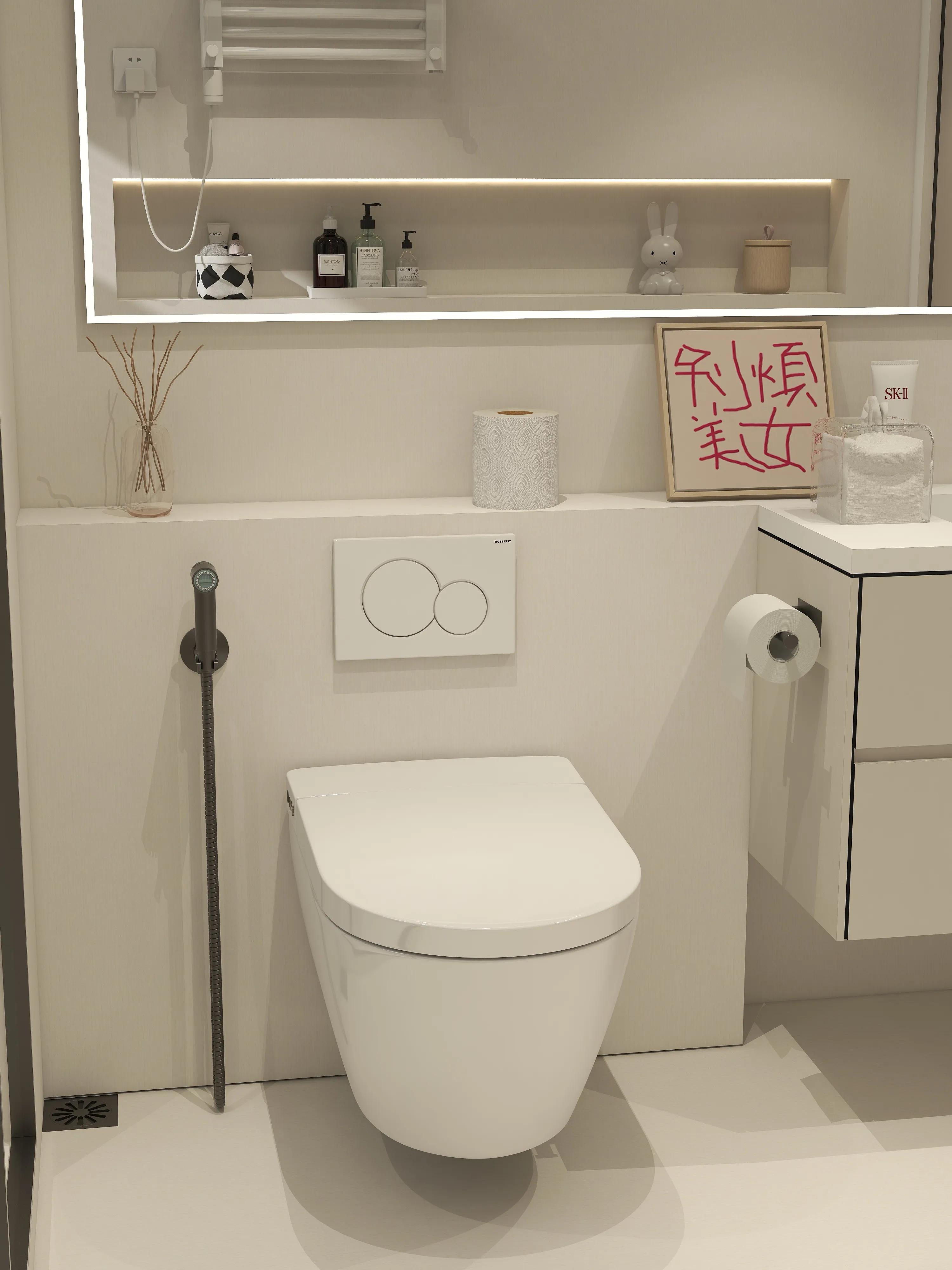 Installation conditions for wallmounted smart toilets iNEWS
