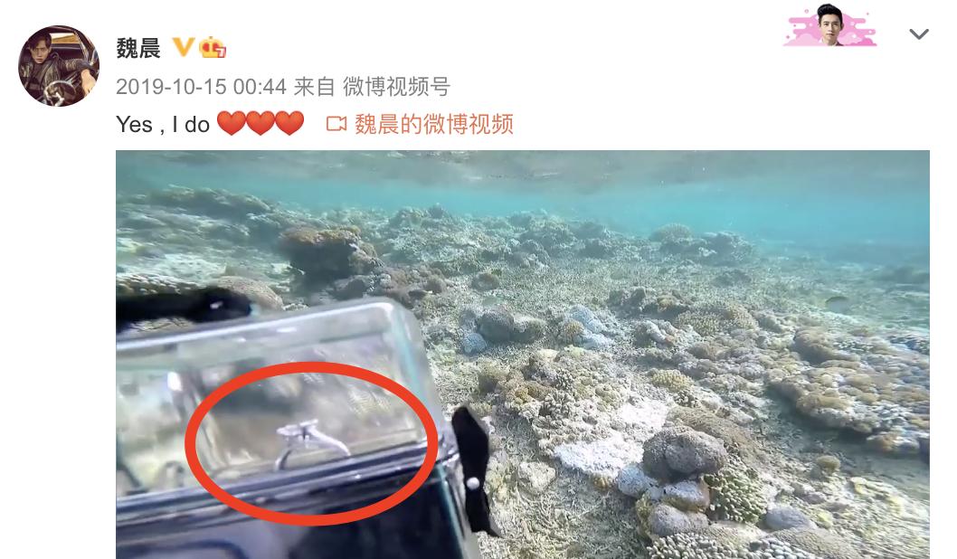37-year-old Wei Chen announces that he will be a father, posting photos ...