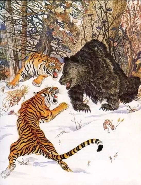 Siberian tiger vs Ussuri brown bear, who is the real king of Siberia ...