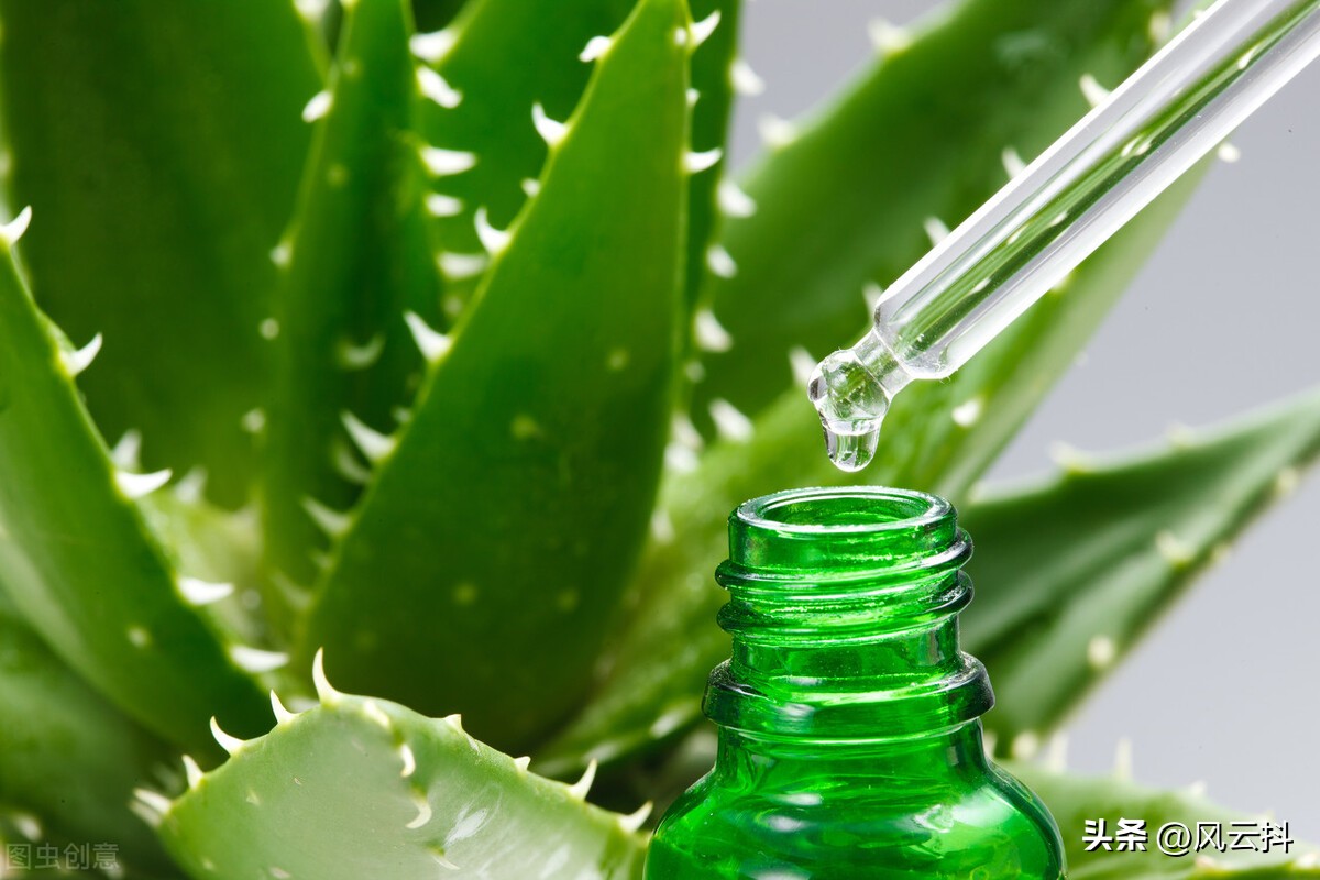 Plants don't have to be watered the more the better iNEWS