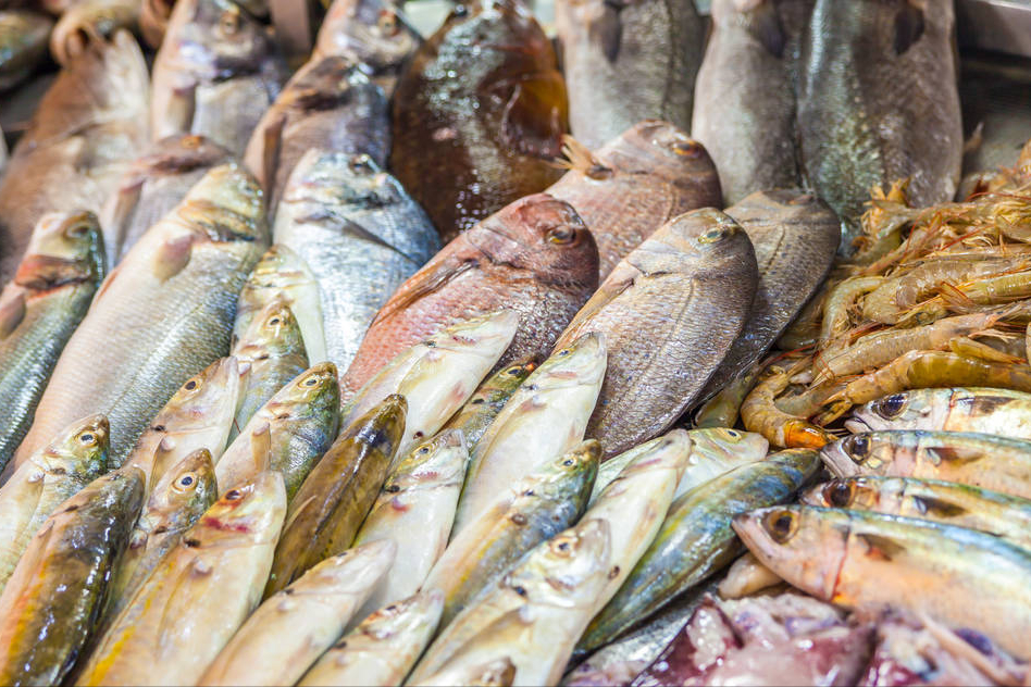 When I meet these 5 kinds of fish after the beginning of autumn, I will ...