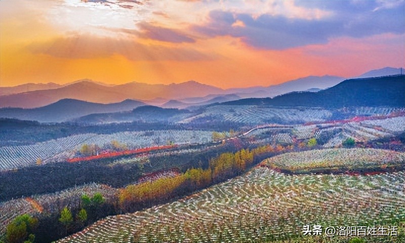 Xuanyuan Yellow Emperor and Luoyang iNEWS