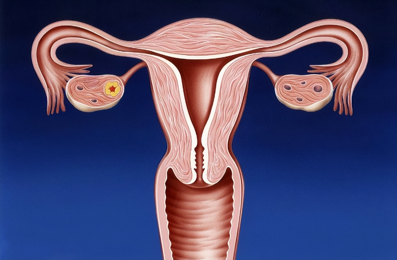 女人「晨尿」時若有4個特點，恭喜，是子宮保養不錯的表現