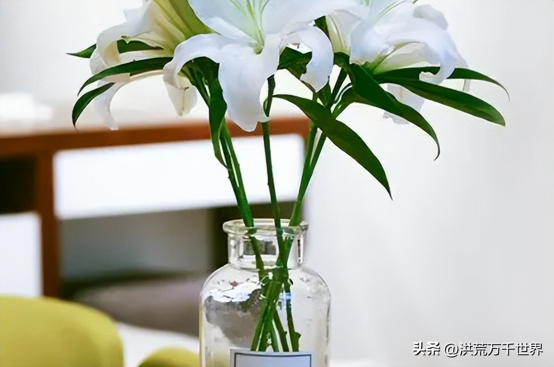 What to put in the water of flowers to prolong the flowering period iNEWS