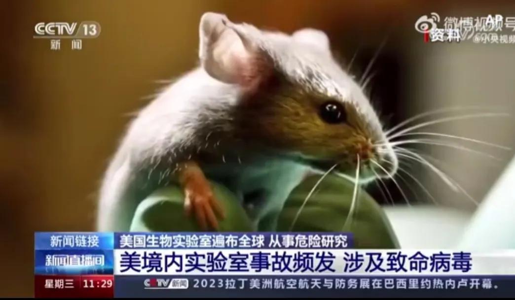 Virus-infected mice escape US biolab - iNEWS