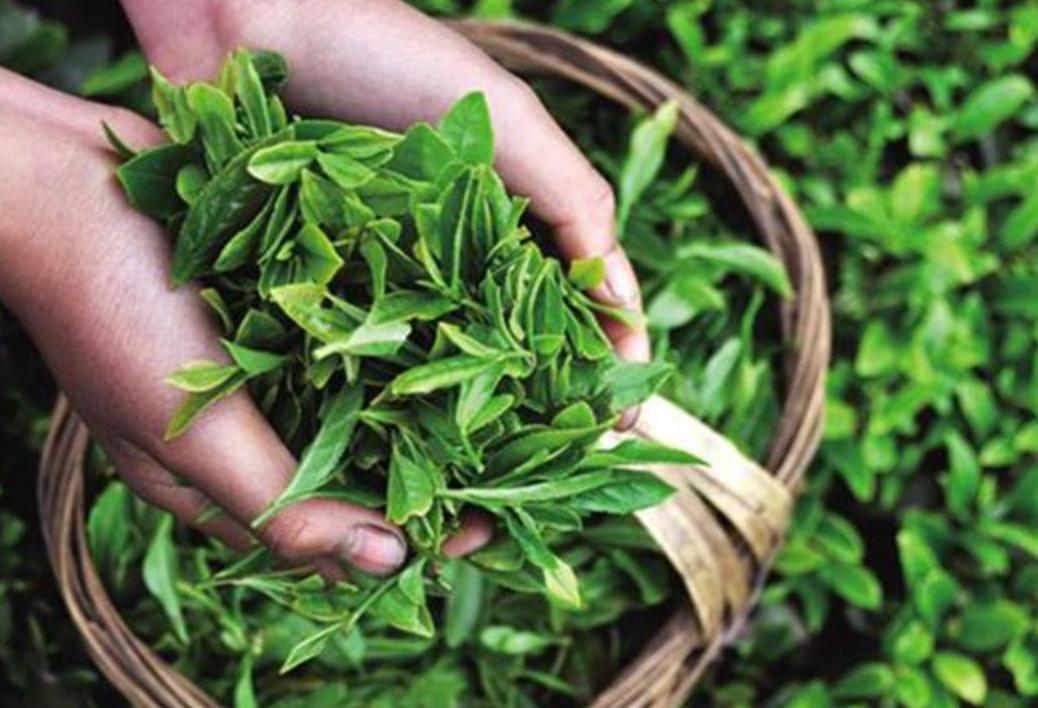 How did the ancient Chinese invent