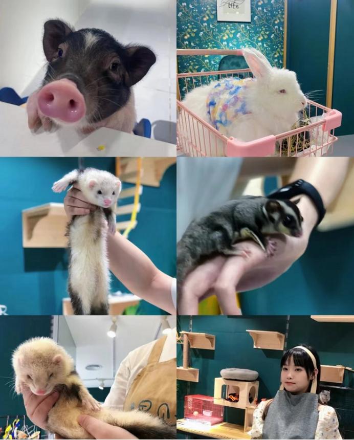 Where to go in Wuhan?These 8 dating places are fun and fun iNEWS