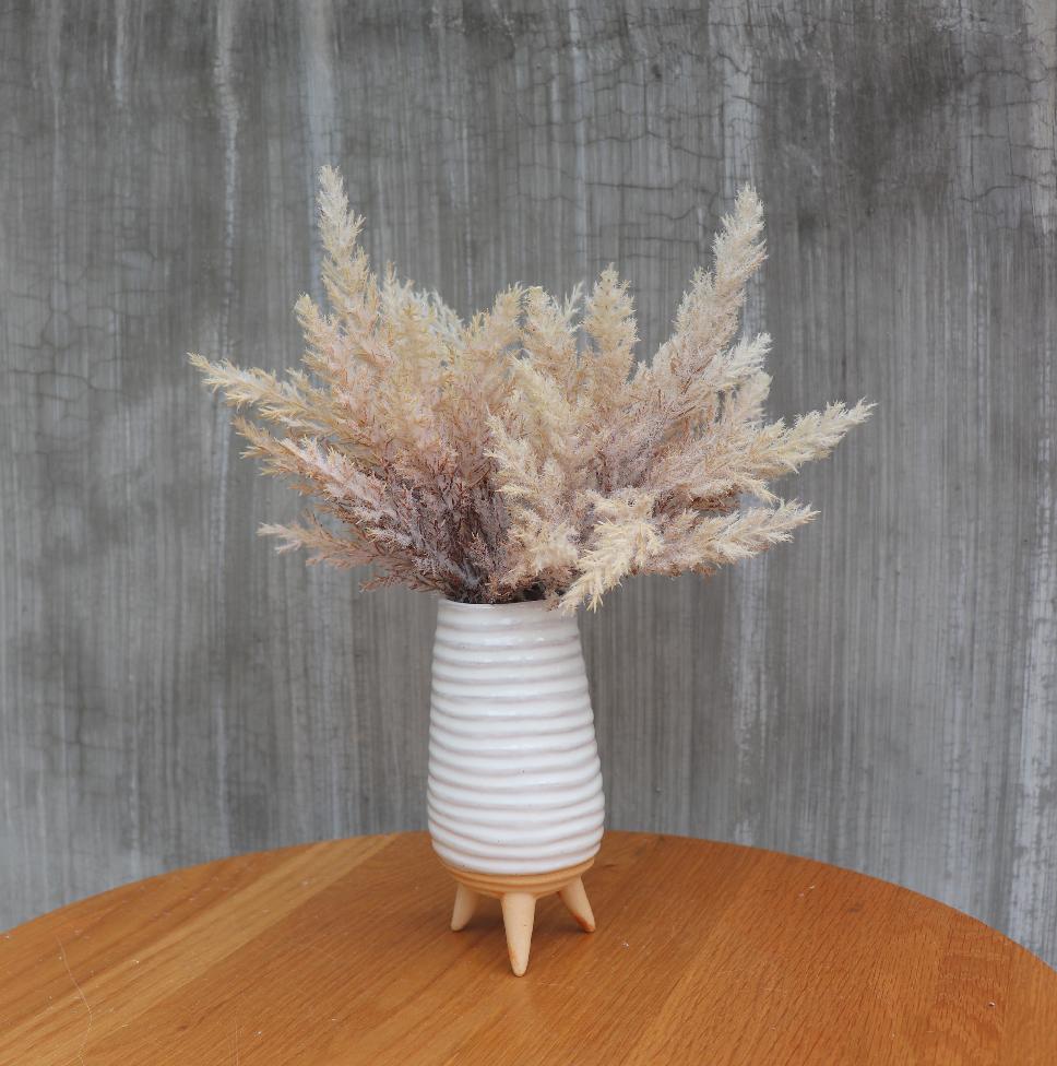 What does pampas grass symbolize iNEWS