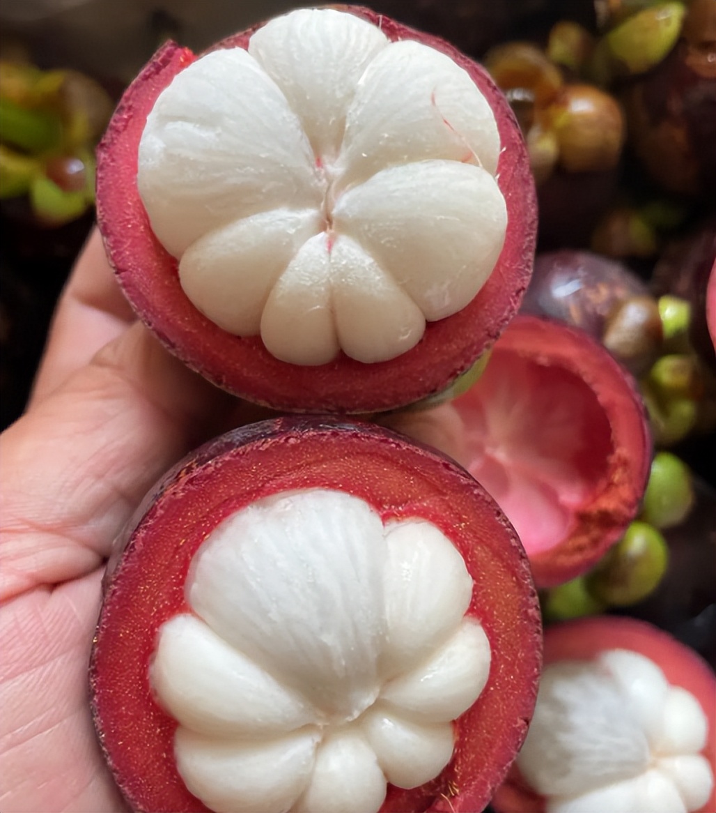 Incomparably The king of fruits, the incomparably delicious mangosteen - iNEWS