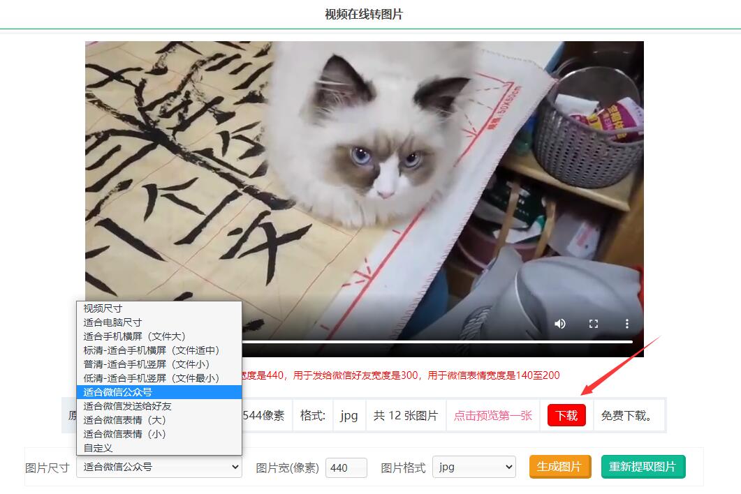 How to convert video to picture frame by frame? How to extract pictures