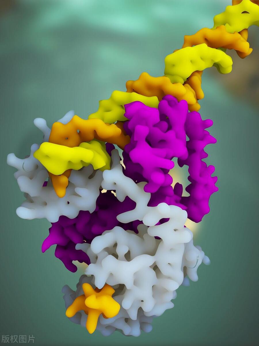 RNA from basic structure to function iNEWS