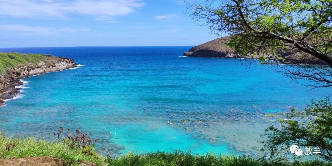 Hawaii is probably the most friendly travel destination for Asians iNEWS