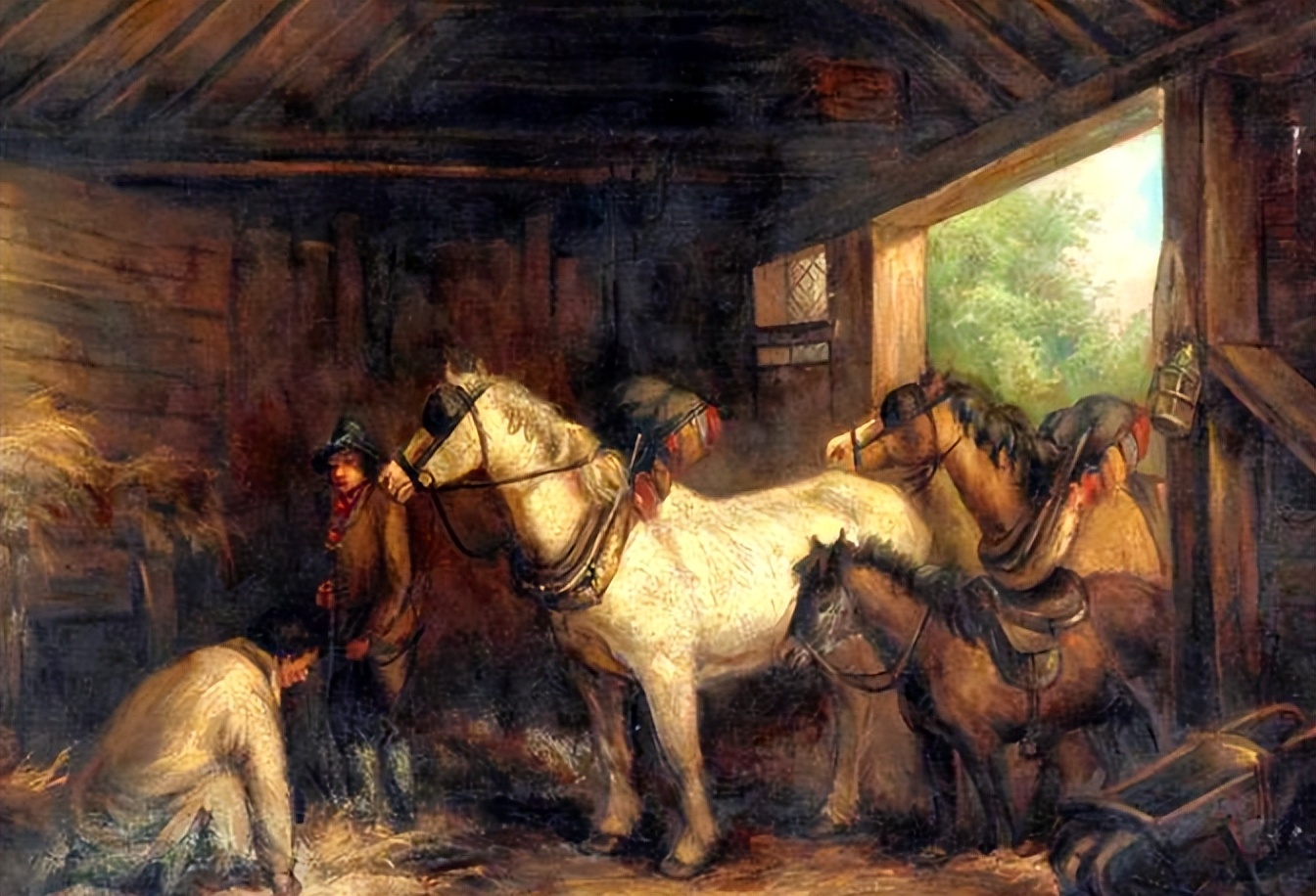 Explore the organization and management of horse breeding in