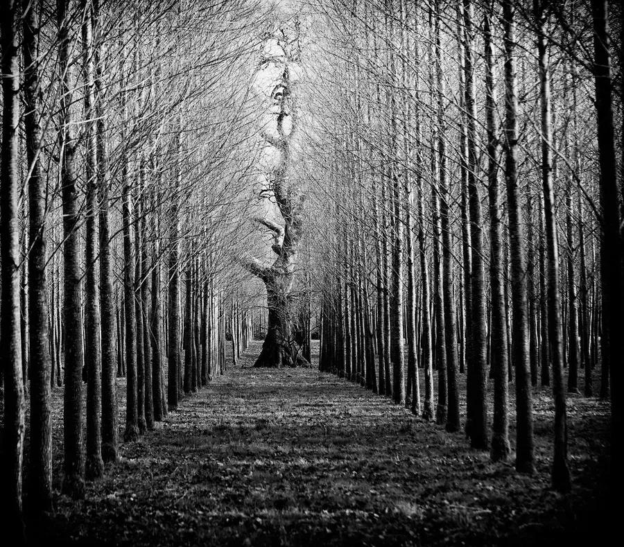 A heartwrenching record iNEWS