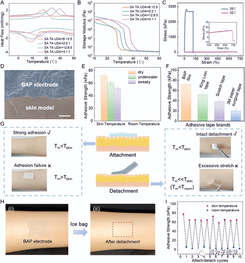 AS: Long-term stable and reusable temperature-triggered adhesion ...