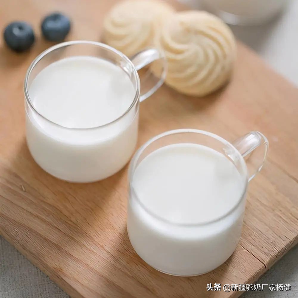 Why is camel milk so expensive? iNEWS