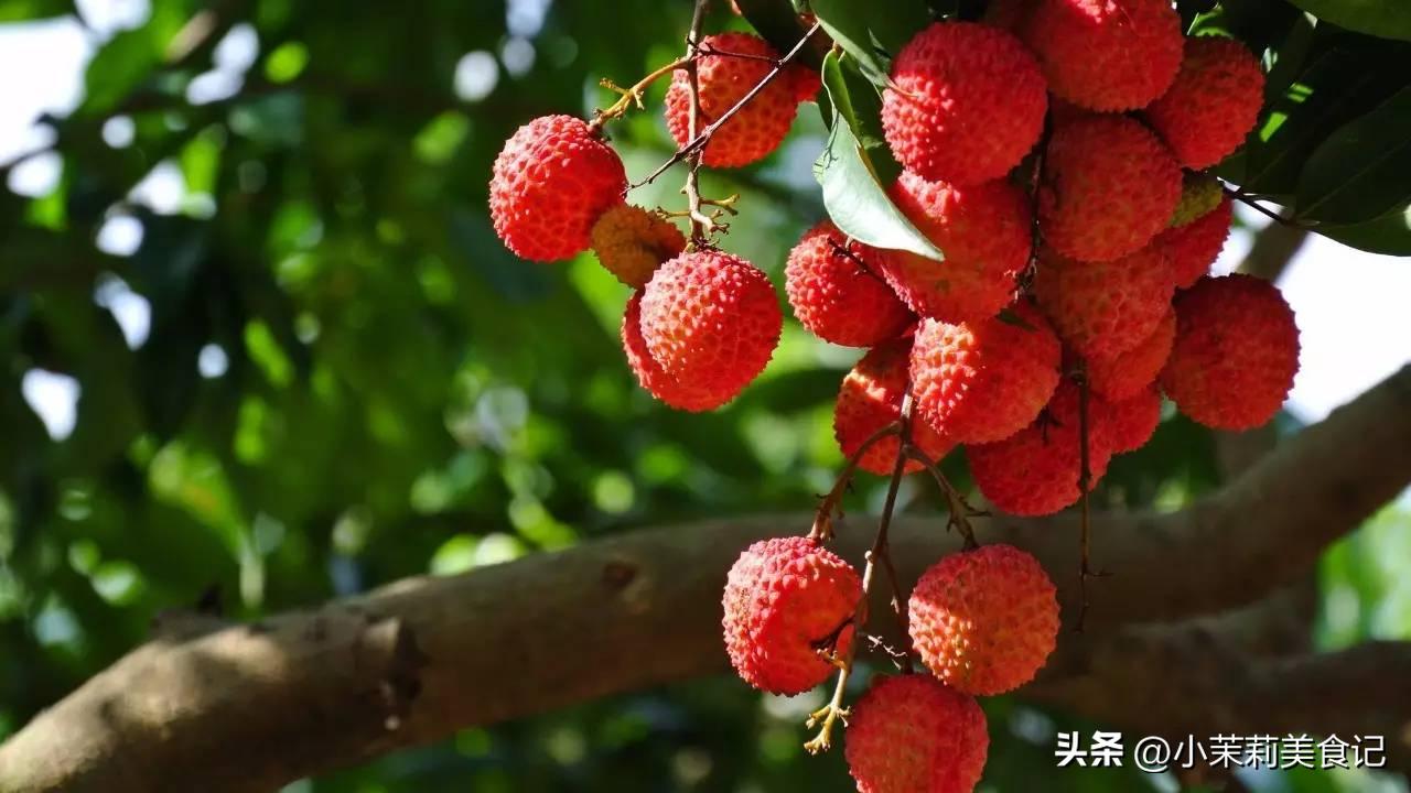 Eating lychees in summer is very particular. The old man said, "If you