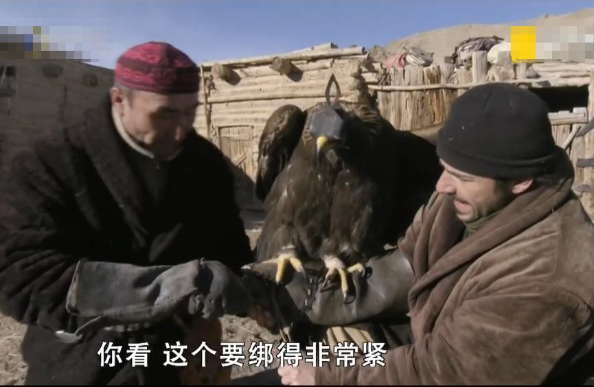 American guy experiences the life of a falconer let the milliondollar