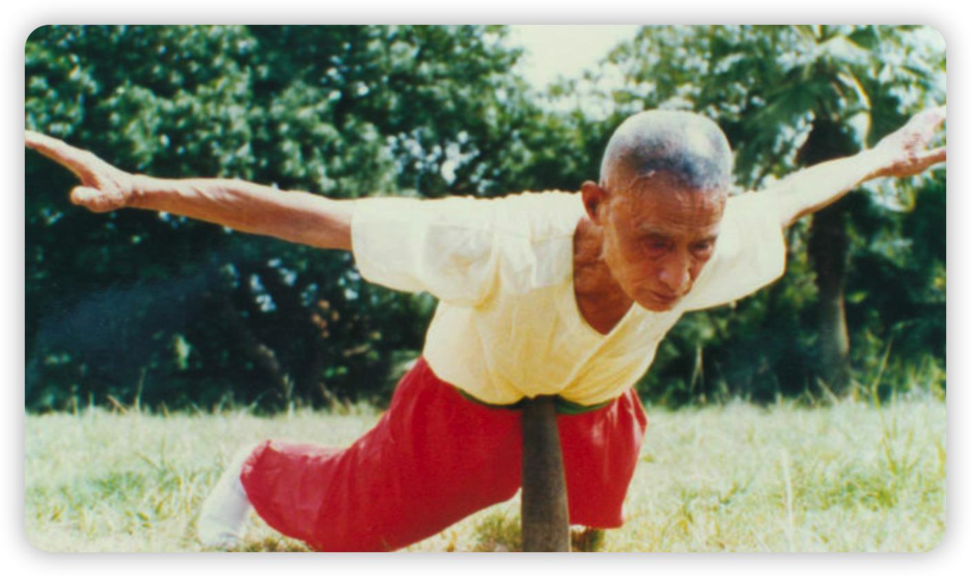 Martial Arts Qigong iNEWS