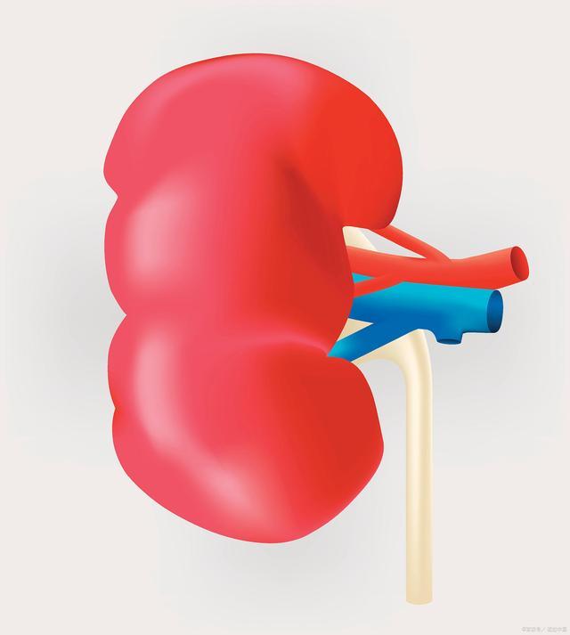 The 32yearold mother suffers from uremia and relies on dialysis to