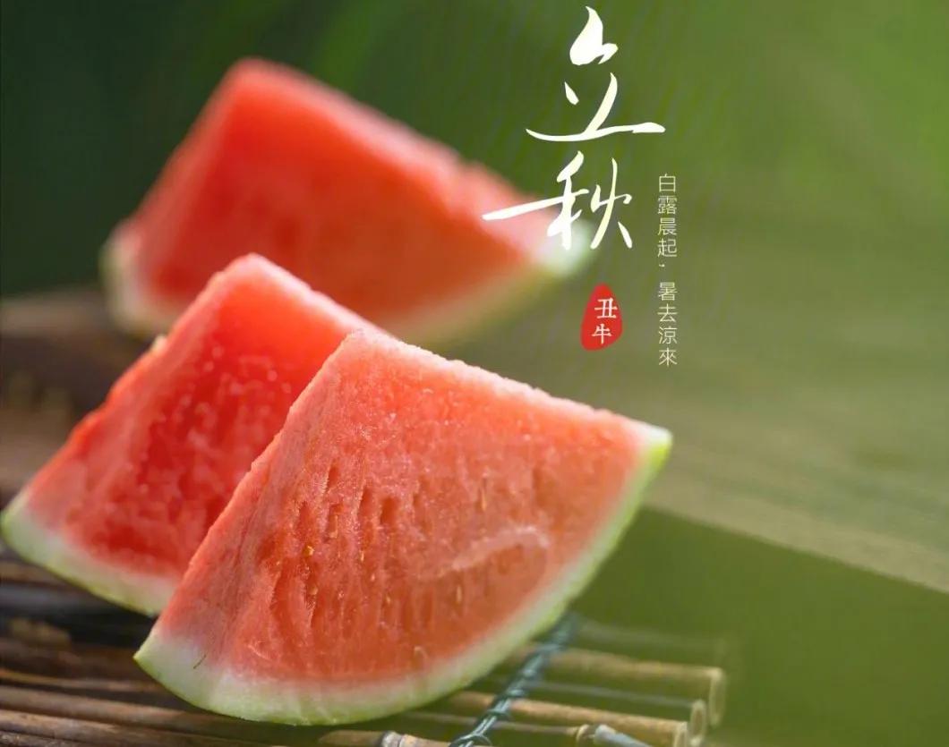 The beginning of autumn, the scene of eating melons that cannot be