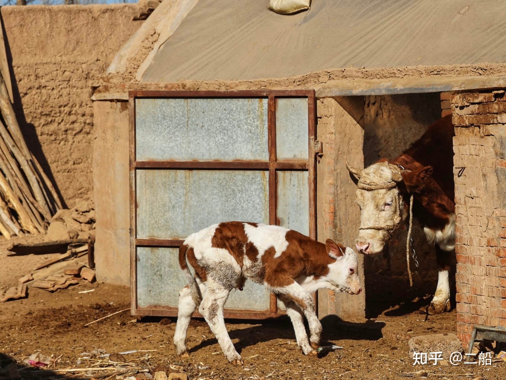 Why do so many people question that "Hidden in the Dust" is out of