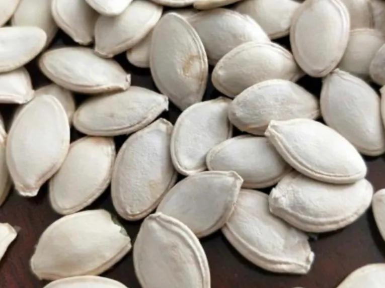 Pumpkin seeds are called "natural insect repellent", can they be eaten