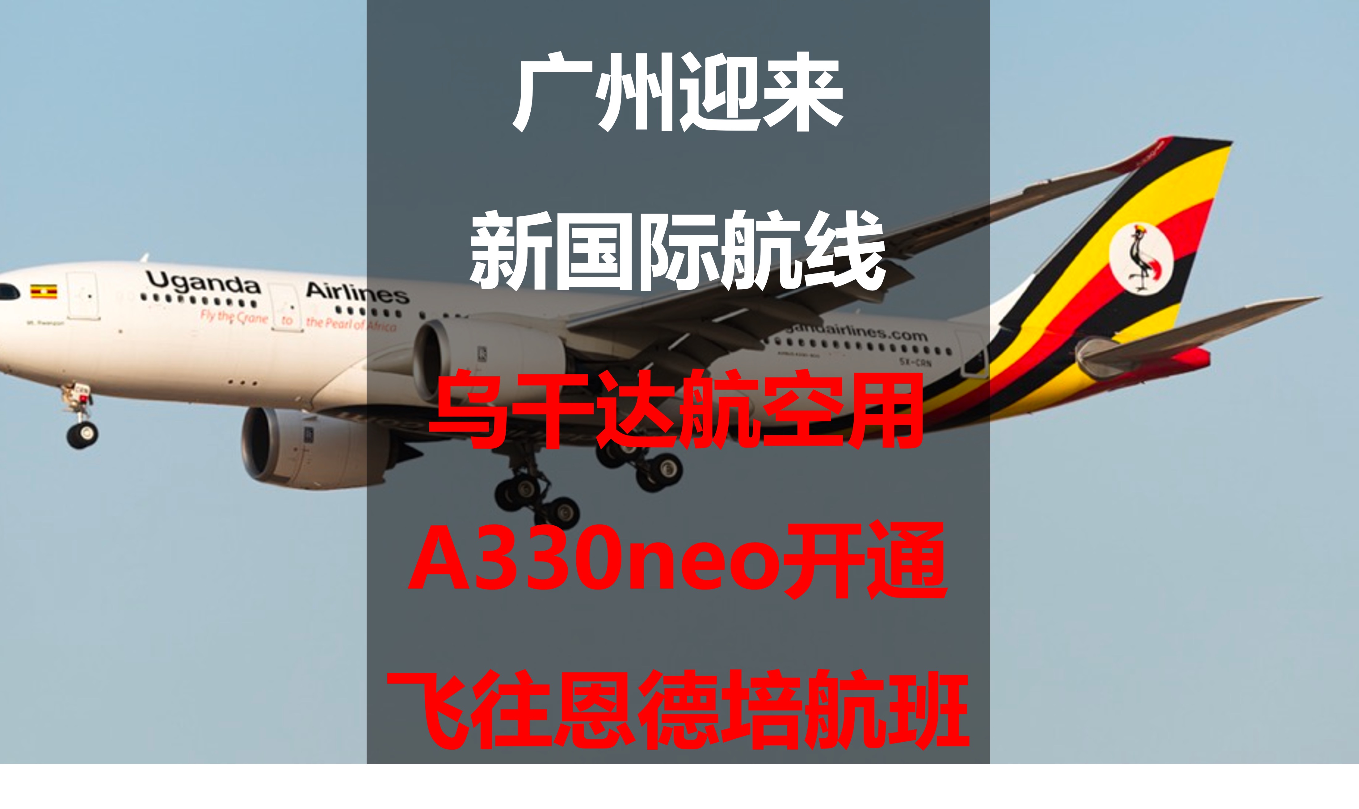 青岛机场携手东航、南航，在上海、广州等航线投入宽体机运营客运快线