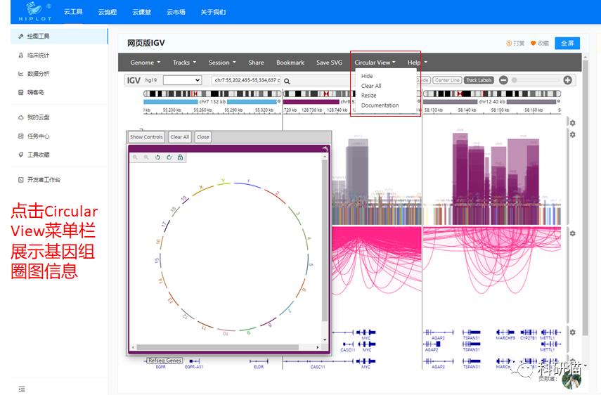 Hiplot launched the genome visualization IGV web version tool, which ...