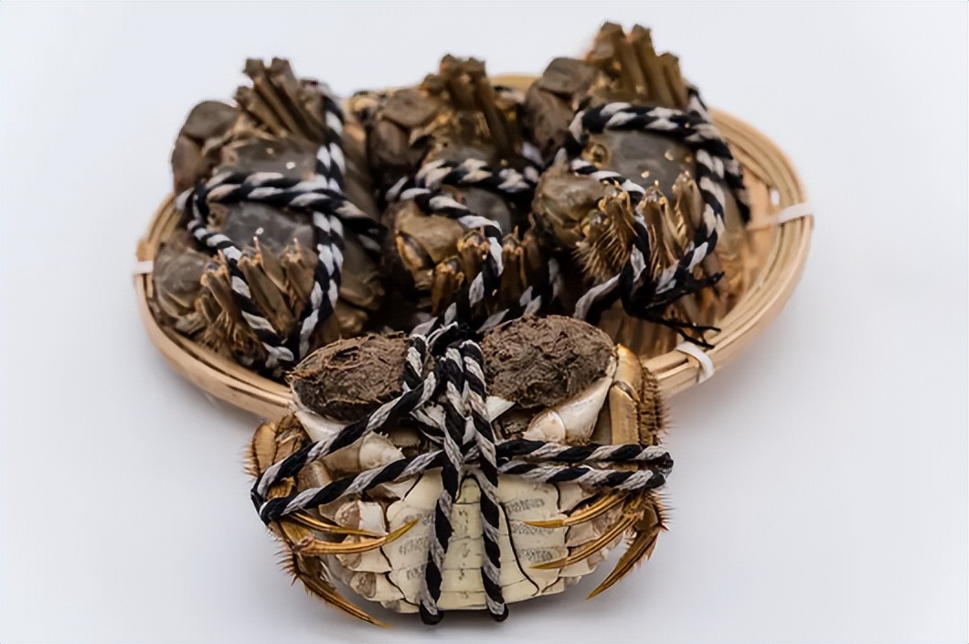 Which one has high cholesterol, swimming crab or hairy crab? iNEWS