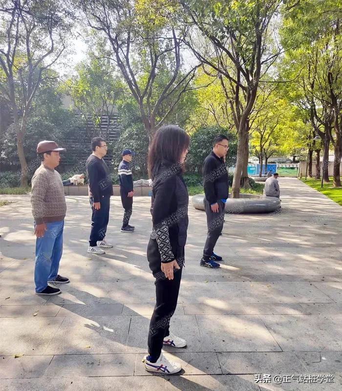站樁為什麼可以健身(改善體質)? - 頭條匯