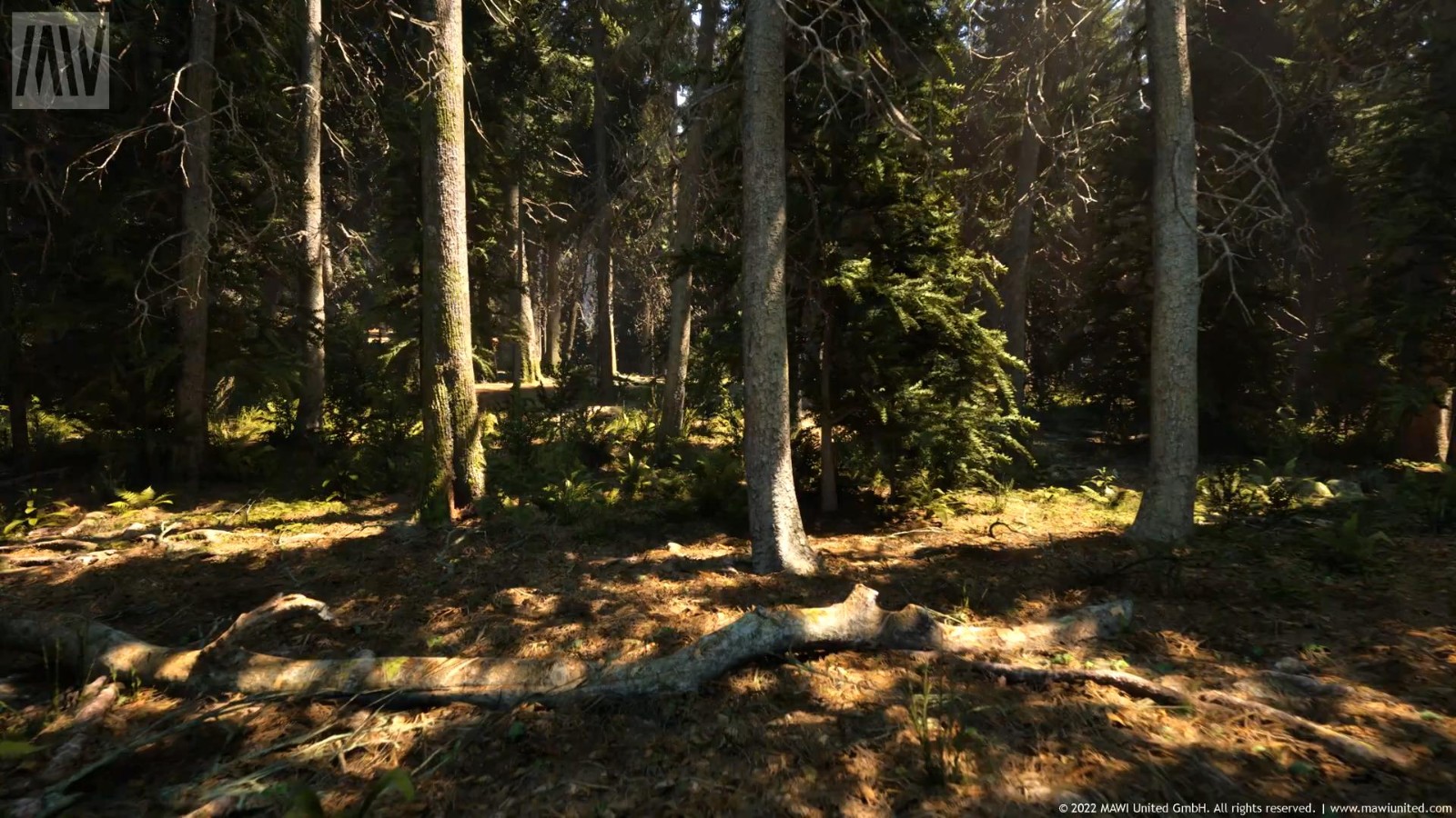 Unreal 5 Engine 