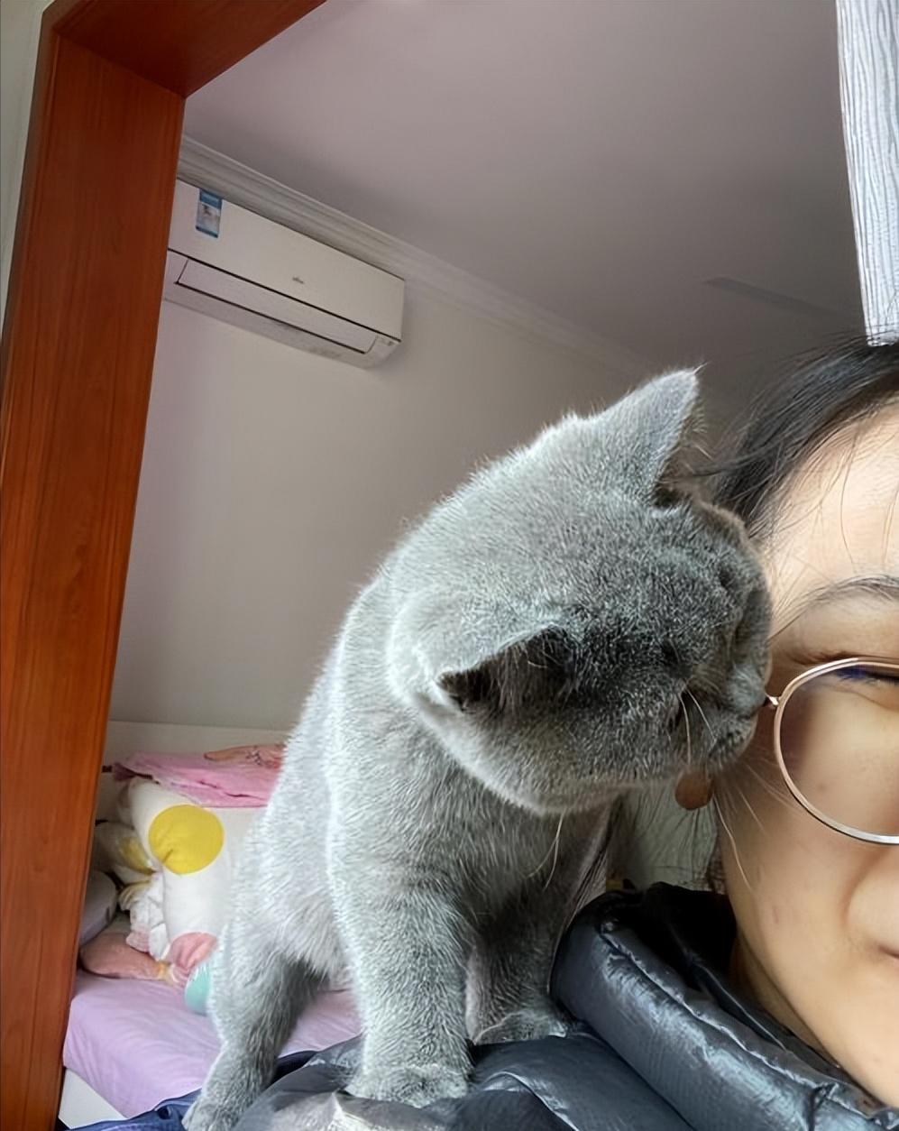 The benefits of raising cats No wonder so many people raise them, the reason is too real iMedia