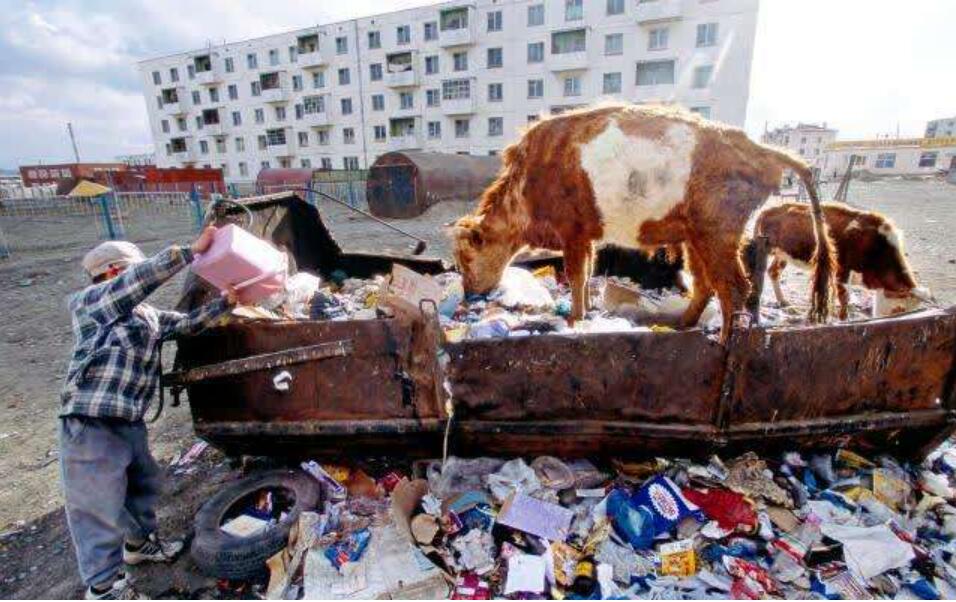Mongolia Used To Be Very Rich Why Is It Suddenly poor INEWS