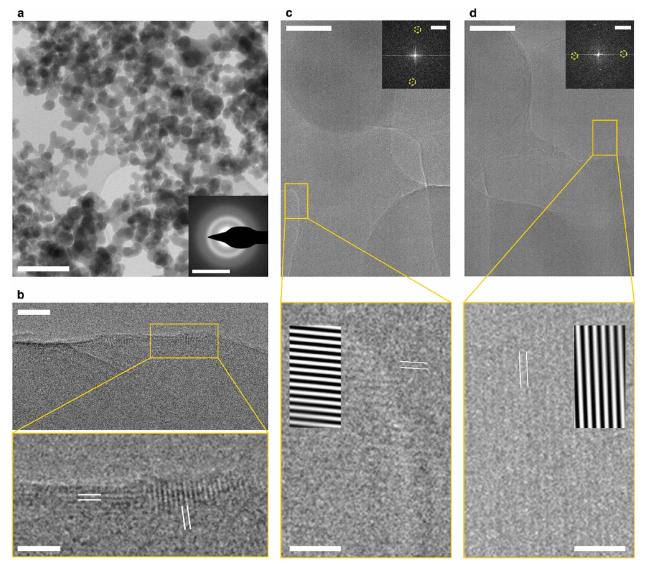The unique nanostructure of amorphous calcium carbonate (ACC) - iNEWS