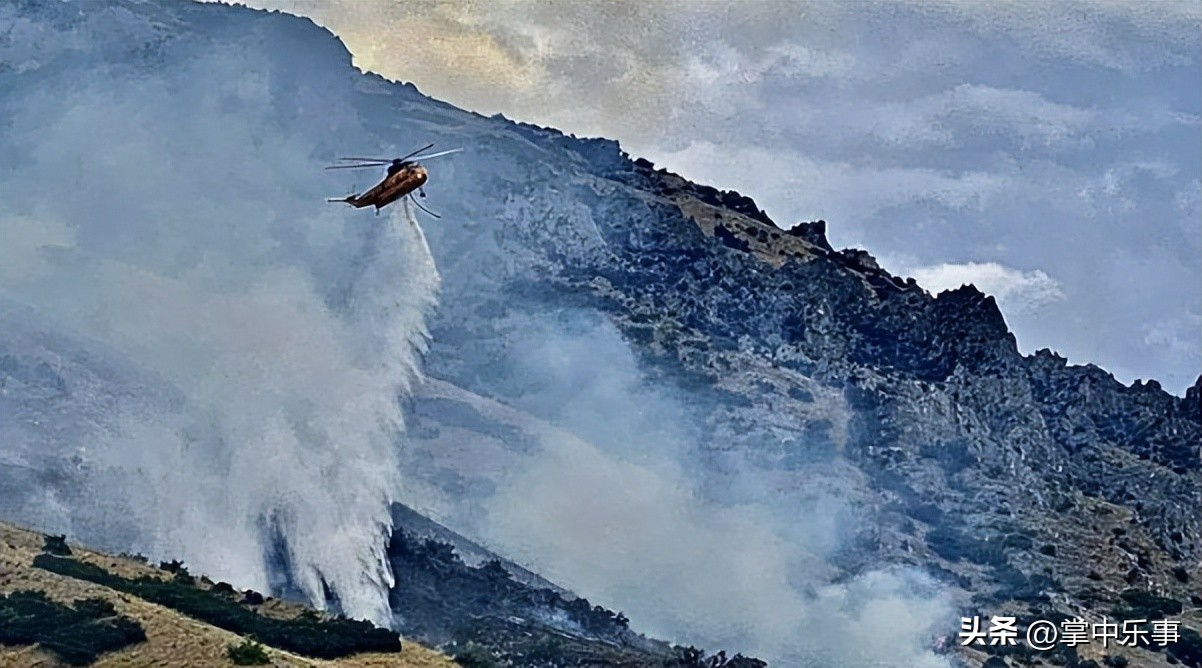 Burning spiders with fire, unexpectedly burned for 20 hours, causing