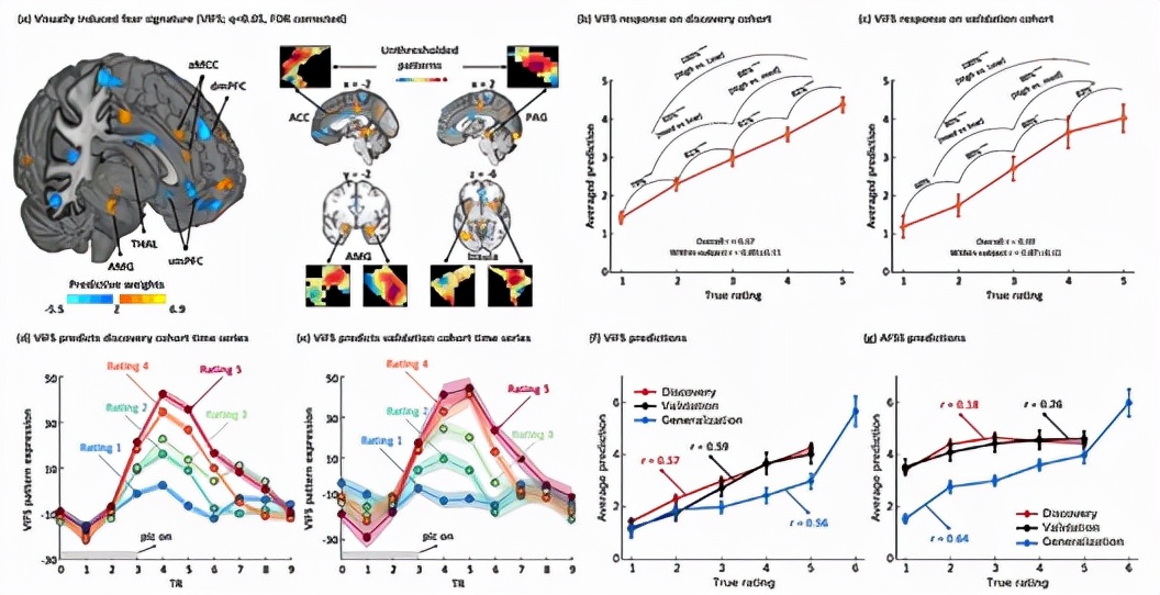 Research reveals how the human brain represents fear - iNEWS