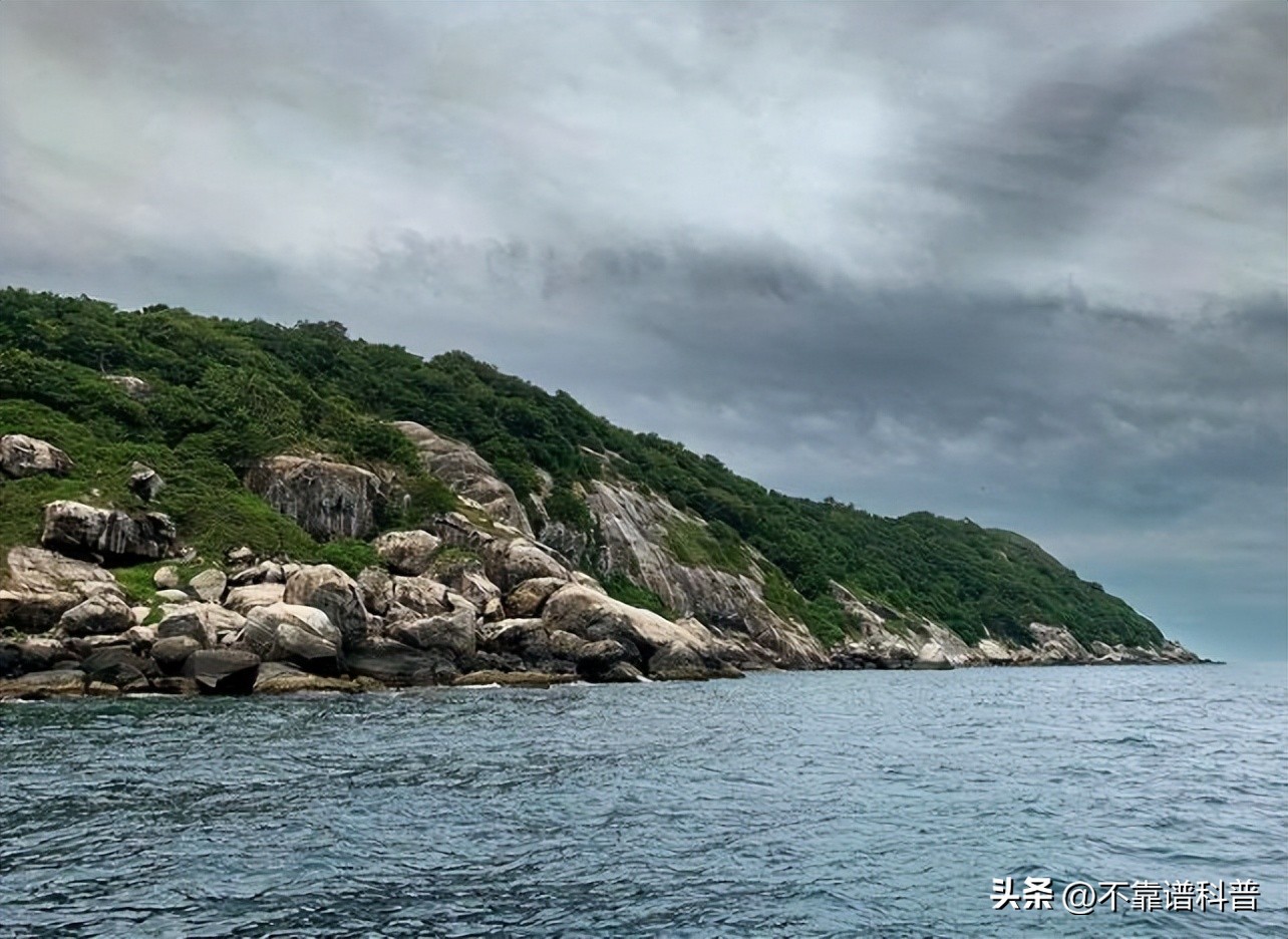 1 to 5 snakes per square meter? The True Face of Snake Island in Brazil ...