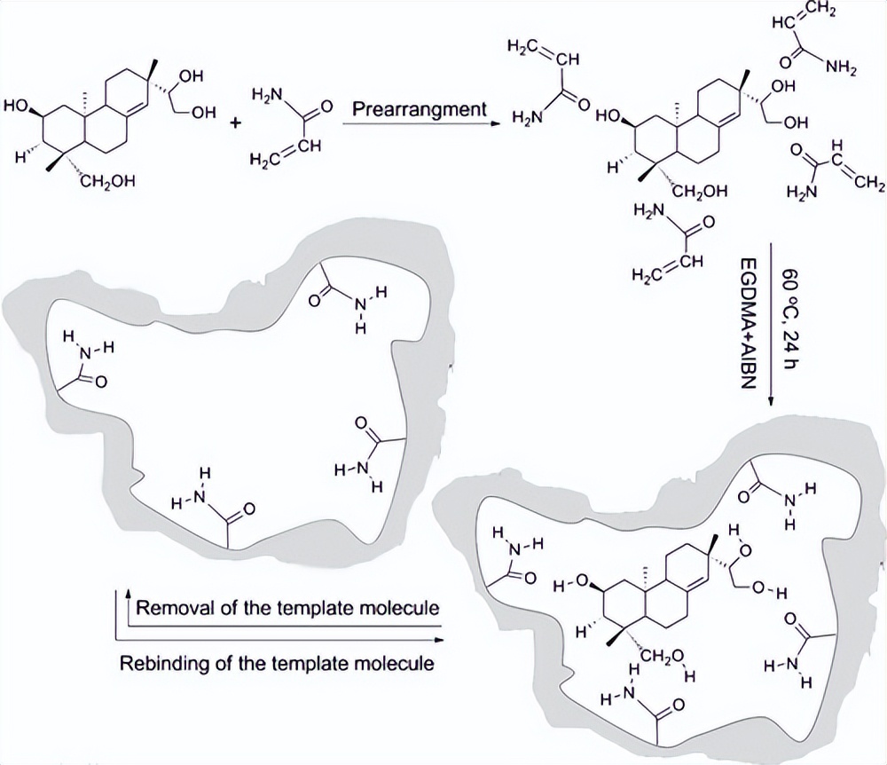 supramolecular polymer brushes - iNEWS