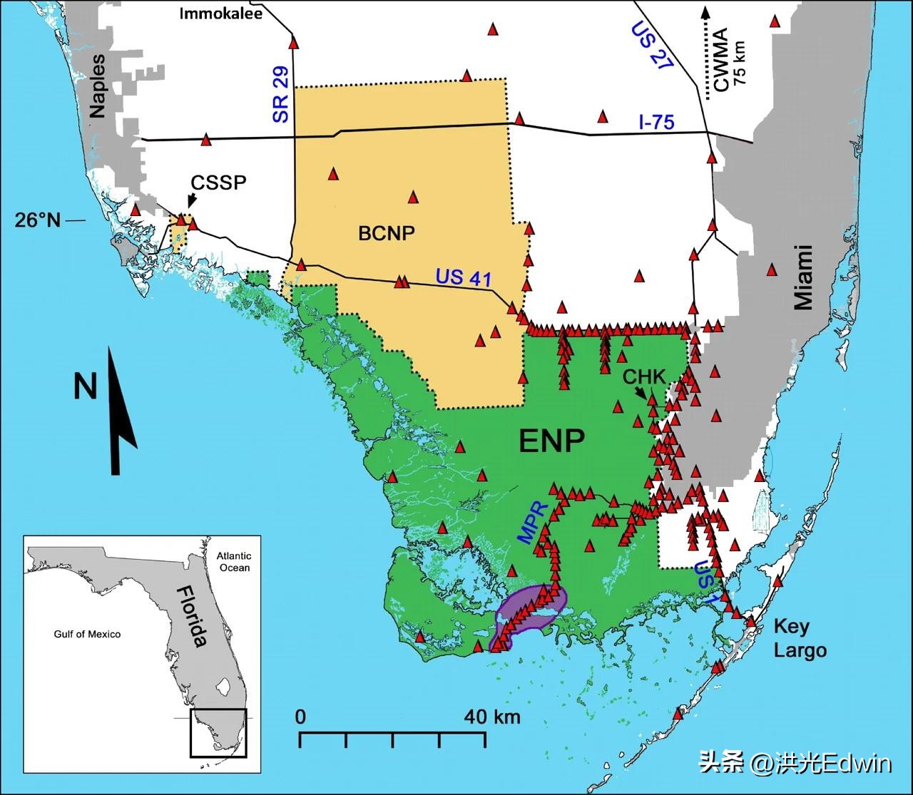 Florida spends a lot of money to clear the back of the python, the ...
