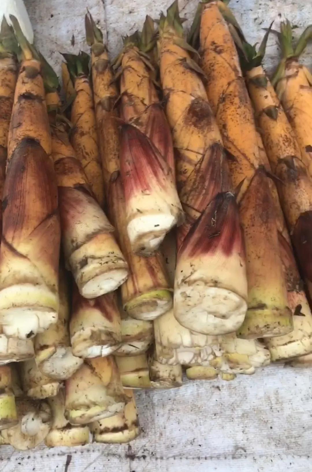 Guangning Bitter Bamboo Shoots iMedia